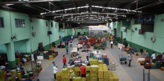 Vista de cima de comerciantes entre caixas de legumes, frutas e verduras