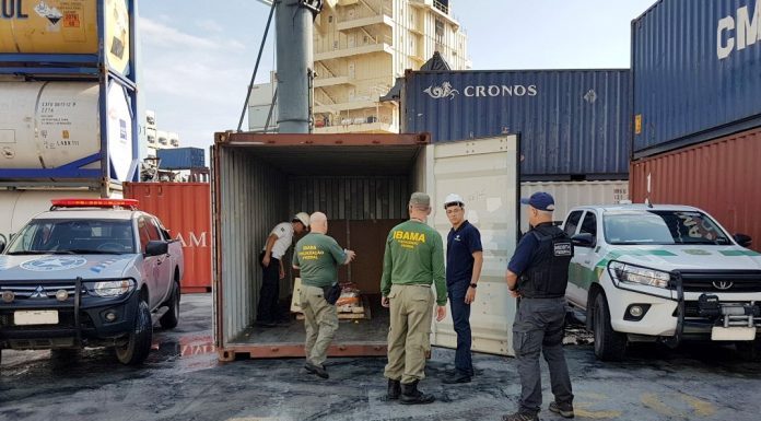 contêiner aberto em que entram homens com uniforme do ibama e receita, com duas caminhonetes estacionadas em cada lado,