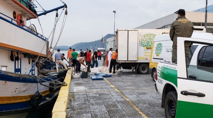 em pequeno cais um barco ancorado à esquerda com um caminhão estacionado à direita e pessoas recolhendo pescado