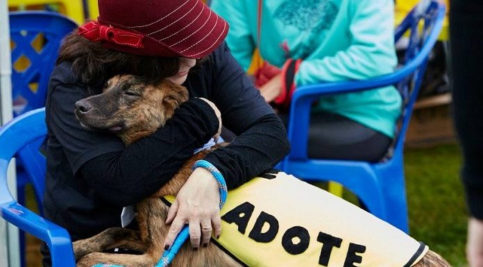 mulher sentada em cadeira abraça cachorro grande em seu colo usando uma roupa onde se lê "adote"