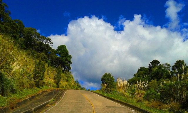 estrada de cimento vista de baixo e do meio da pista que sobe um pequeno morro com árvores