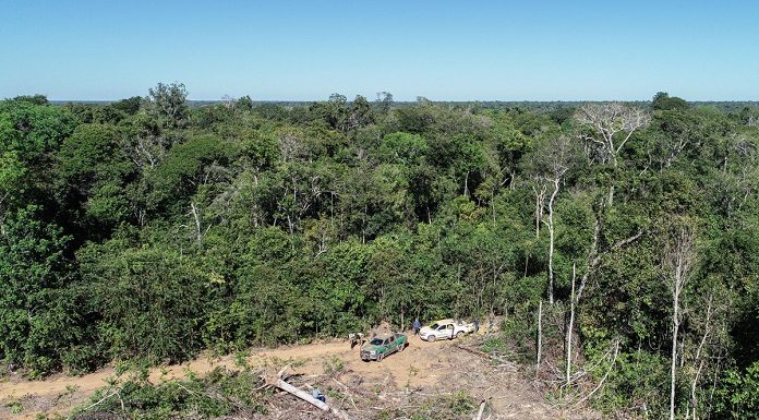 foto aérea de grande área desmatada ao lado de vasta floresta amazônica; duas caminhonetes do ibama estacionadas na grande clareira