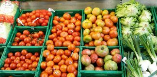 estande de legumes em supermercado com tomates de diversos tamanhos e outros legumes