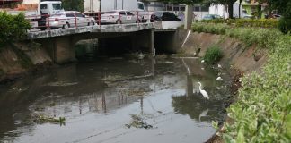 foto de um trecho do rio escuro; há uma garça na margem e uma ponte que passa sobre o rio, onde há alguns carros e placas da prefeitura (logo antigo) no guarda-corpo