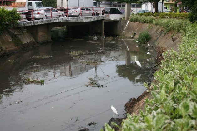 foto de um trecho do rio escuro; há uma garça na margem e uma ponte que passa sobre o rio, onde há alguns carros e placas da prefeitura (logo antigo) no guarda-corpo