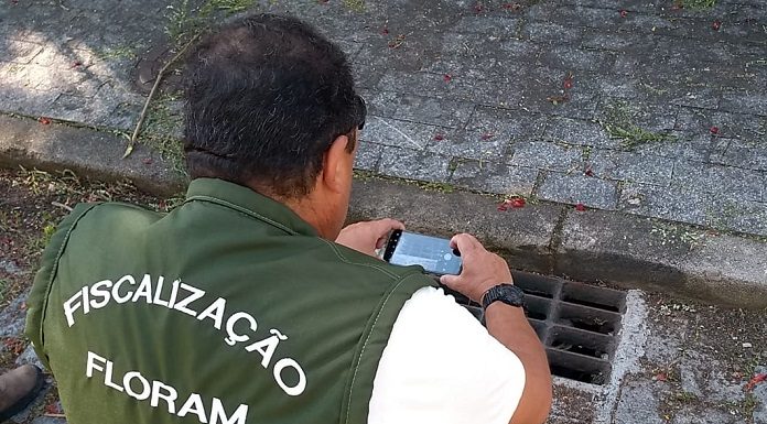 fiscal da floram, usando colete, se abaixa para tirar foto com celular de um bueiro