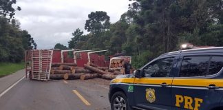 caminhonete da prf estacionada no meio da rodovia em frente a um caminhão carregado de toras tombado