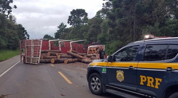 caminhonete da prf estacionada no meio da rodovia em frente a um caminhão carregado de toras tombado