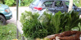 diversos alimentos, entre verduras e legumes, expostos em caixas em barraca de feira