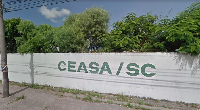 Depois que agrediram a vítima, assaltantes fugiram para terreno ao lado da Ceasa, onde foram mortos em confronto com a PM - Imagem: Google/Reprodução