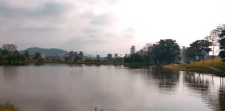 Patos do lago Pedra Branca morreram pela contaminação com a bactéria Clostridium botulinum, causadora do botulismo - Foto: Divulgação