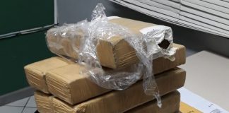 Nesta terça, em cinco municípios – São José, Florianópolis, Palhoça, Santo Amaro da Imperatriz e Tijucas –, foram presas oito pessoas a apreendidos 20 kg de maconha - Foto: PC