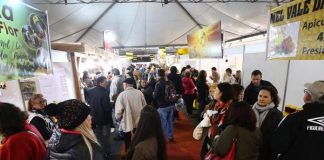 feira do mel em florianopolis começa nesta semana, de 5 a 8 de junho