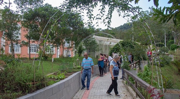 jardim sensorial do jardim botanico de sao jose abre em agosto