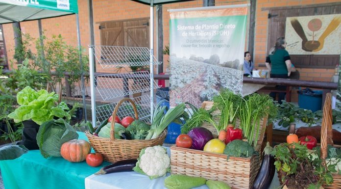 expo sao jose 2019 inicia sexta 5 ate domingo 7 no ctg os praianos