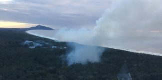 incendio no parque do rio vermelho florianopolis - cbm sc