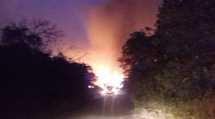 incendio entrada parque estadual da serra do tabuleiro