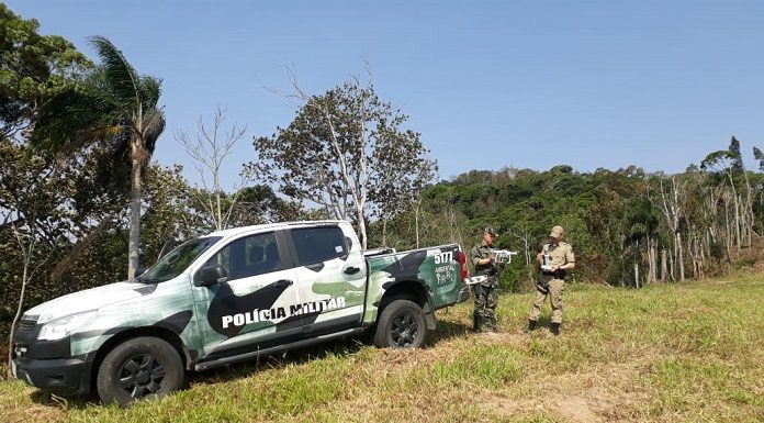 operacao mata atlantica em pe 3 pm ambiental sc fiscalizacao