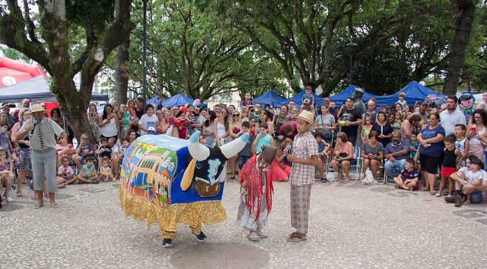 boi de mamao na feira da freguesia de sao jose - pmsj