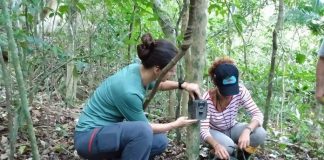 duas mulheres agaichadas na mata prendem uma câmera em tronco de árvore