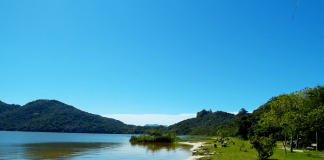 lagoa do peri intoxicada - lafic ufsc - Tatiana Grapsas