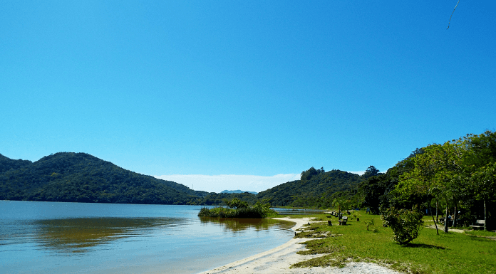 lagoa do peri intoxicada - lafic ufsc - Tatiana Grapsas