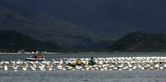 área com boias de maricultura no mar e dois pequenos barcos com pessoas no meio