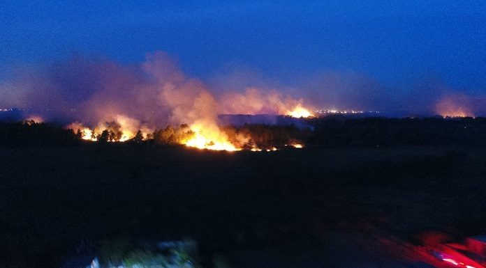 novo incendio no parque estadual da serra do tabuleiro palhoca - pm ambiental (2)