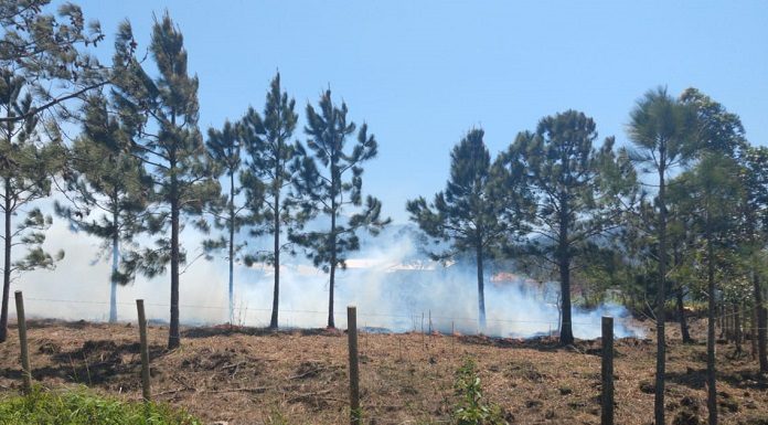 sete incêncios em um mes parque serra do tabuleiro