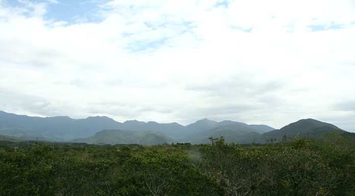 área de mata com montanhas ao fundo e muita nebulosidade