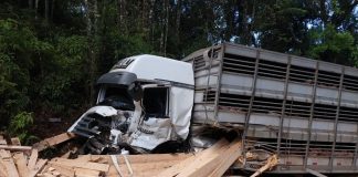 carga de madeira caída sobre o chão ao lado de caminhão com a frente destruída