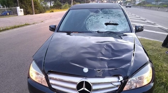 mercedez com capô amassado e vidro quebrado por causa do atropelamento, placa censurada, parada no acostamento