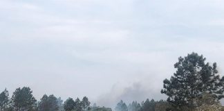 fumaçã ao longe em vetação de banhado com pinus