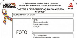 desenho de um modelo da carteira de identificação do autista em sc