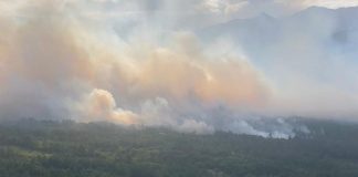 foto aérea de grande quantidade de fumaça saindo de uma região plana de mata