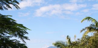 foto do céu azul quase sem nuvens com árvores na frente