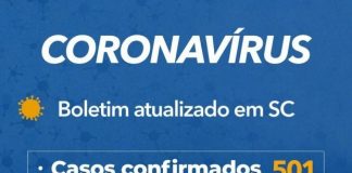 tabela de casos confirmados: 501 e óbitos: 17