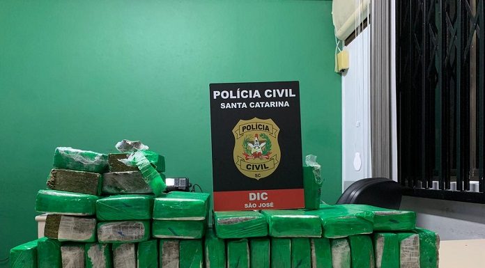 Maconha apreendida