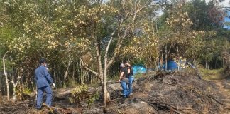 3 homens do corpo de bombeiros caminhando na mata