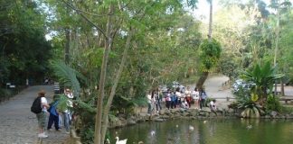 pessoas em volta do lago do parque em área com pistas de caminhada e muitas árvores