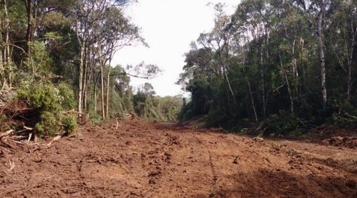 área de terra aberta desmatada no meio de uma mata