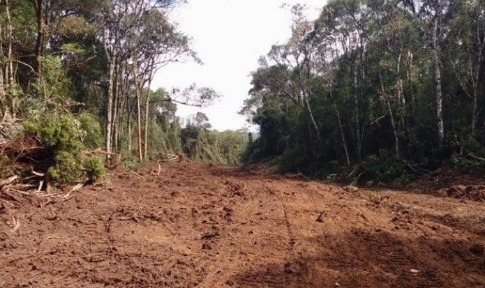 área de terra aberta desmatada no meio de uma mata