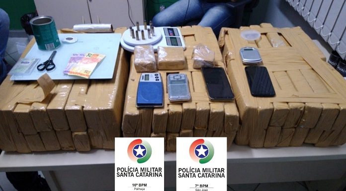 pacotes de maconha e aparelhos de celulares apreendidos pelos policiais, em cima de uma mesa