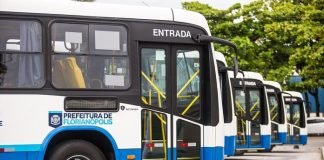 ônibus do transporte coletivo de florianópolis estacionados e alinhados vistos na parte frontal de lado