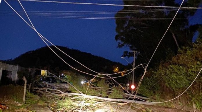 galhos e fios caídos sobre rua bloqueando a passagem