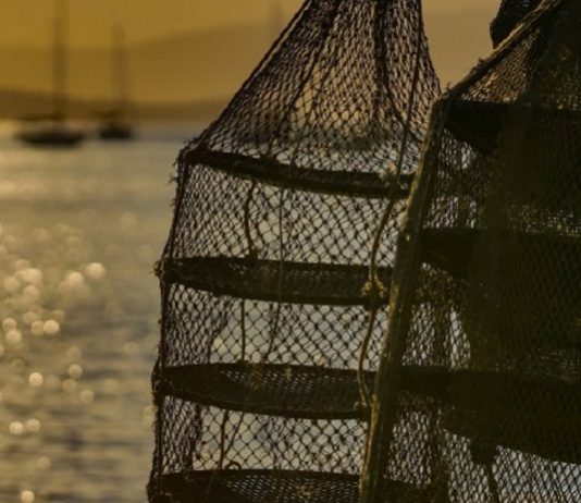 silhueta de arapuca de ostra na frene de um mar calmo