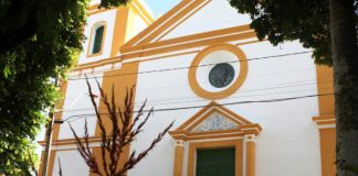 fachada da igreja matriz de são josé com plantas na frente