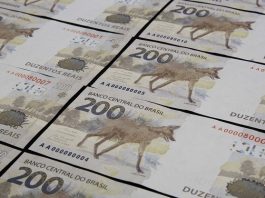 cédulas de 200 reais com o lobo-guará estampado