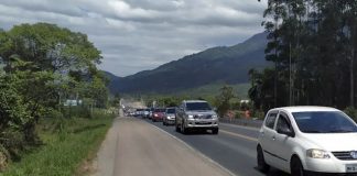 carros passando em fila na estrada e acostamento no centro da imagem