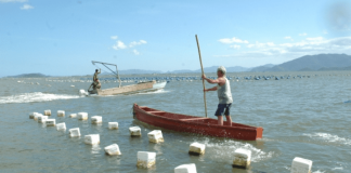 Dois barcos, em cada um tem um homem em pé remando